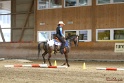 26-ApHC GT_142
